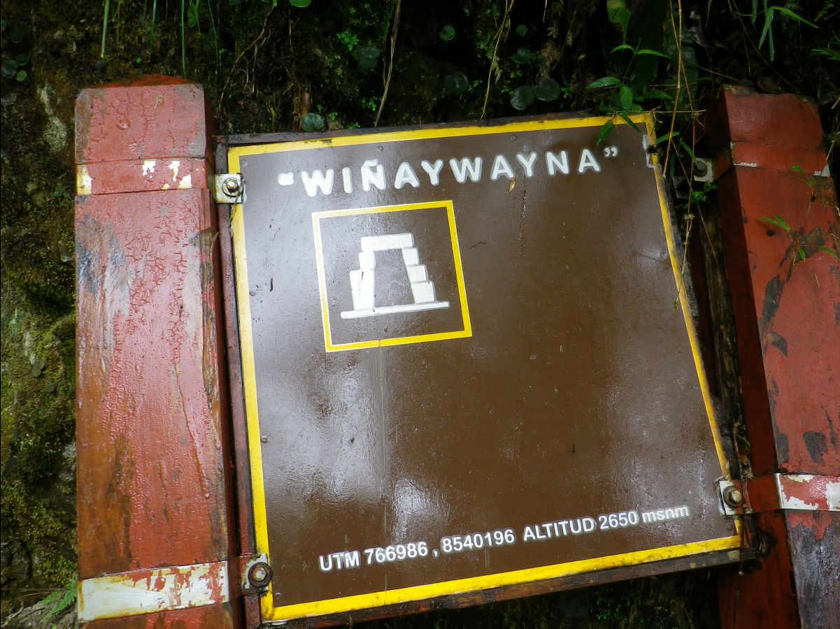 Winaywayna - Forever Young01